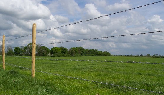 Barbed Wire.jpg