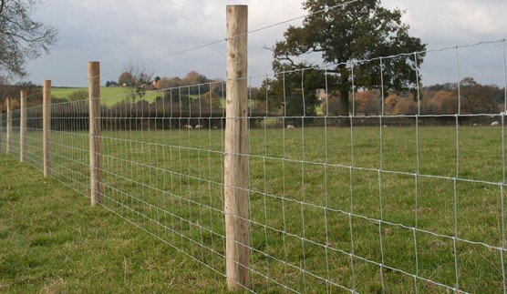 Galvanised 5 foot 50 meters Free P&P sheep goat cow Stock fencing 145cm 5ft 