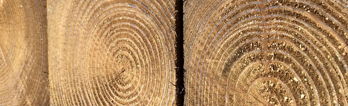 Timber Banner 4.jpg
