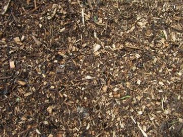 Mulch Loose.JPG