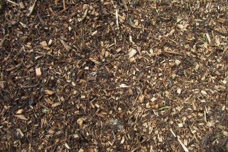 Mulch Loose.JPG